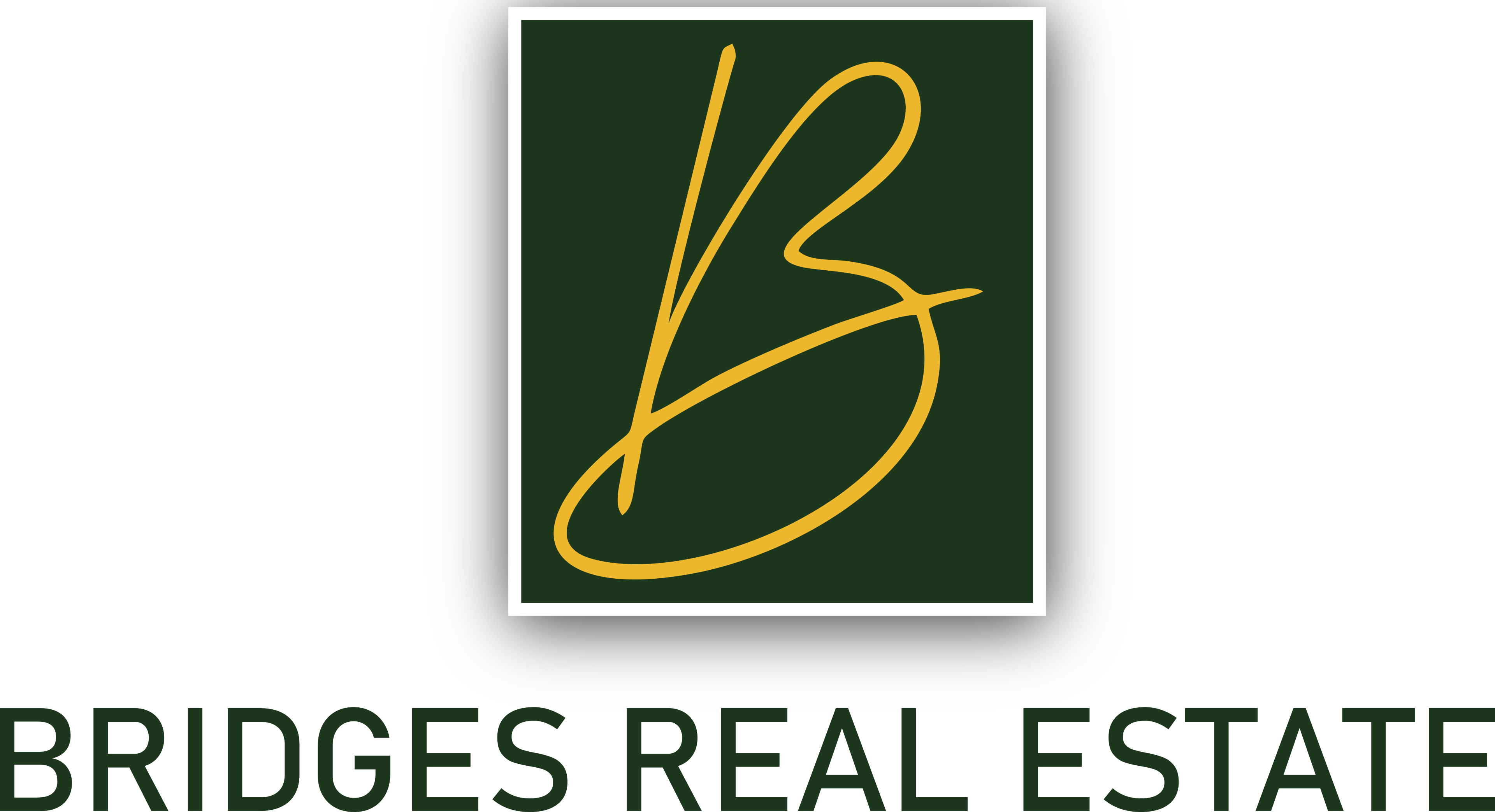 Bridges real estate